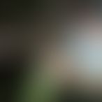 ParejaSinTabues, Una pareja, 32 años de edad, Viñas (2)